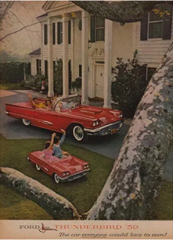 img-dins_article-bernada