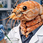 Imatge de l'article d'Irma Marco Internet morta i la IA del futur: de la conspiració a la realitat 