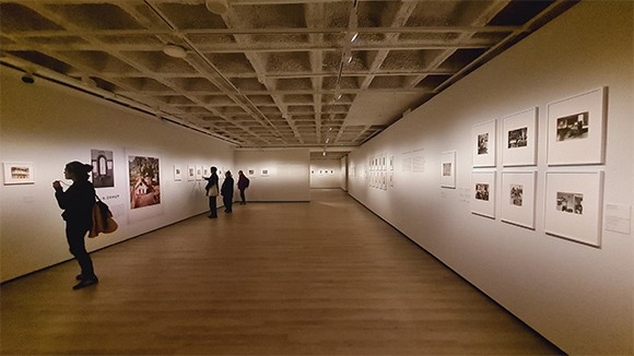 img-dins_article-escala164