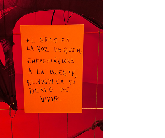 img-dins_article-herrera165a